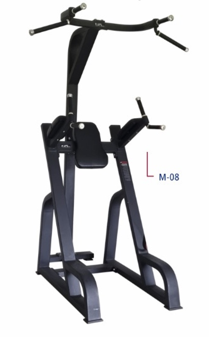 Fondo Dorsal y Abdominal Importado